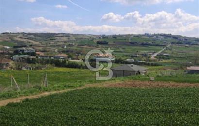 FIRSAT ÇATALCA ÇANAKÇA SATILIK 773 M2 TARLA