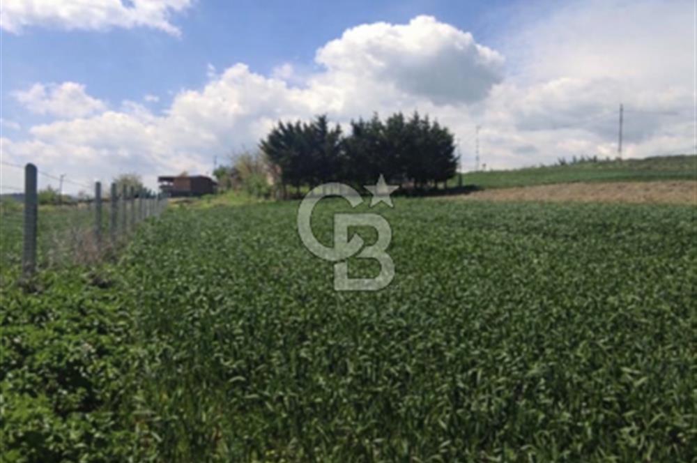 FIRSAT ÇATALCA ÇANAKÇA SATILIK 773 M2 TARLA