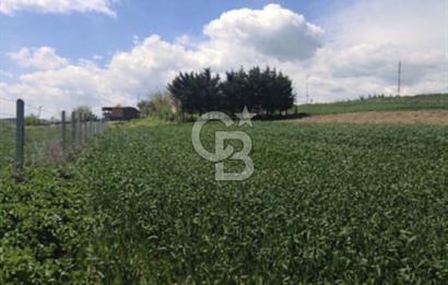 FIRSAT ÇATALCA ÇANAKÇA SATILIK 773 M2 TARLA