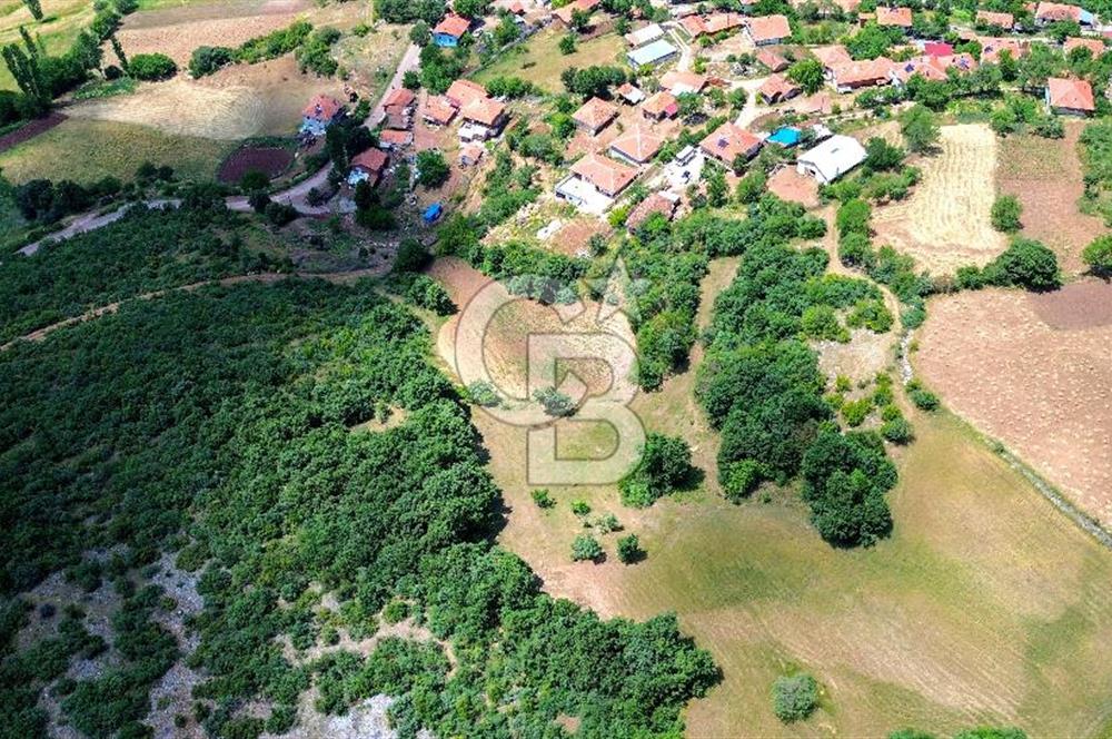 CB LEADER'DEN KEPSUT SAYACIK MH.'DE SATILIK ARSA