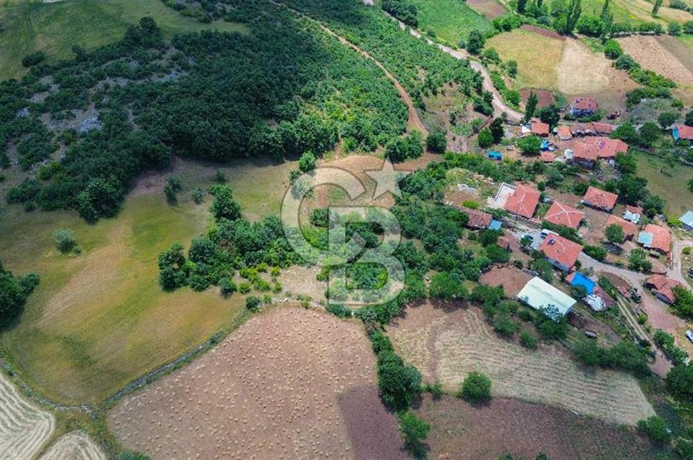 CB LEADER'DEN KEPSUT SAYACIK MH.'DE SATILIK ARSA