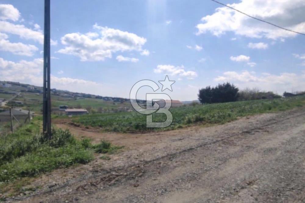 FIRSAT ÇATALCA ÇANAKÇA SATILIK 773 M2 TARLA