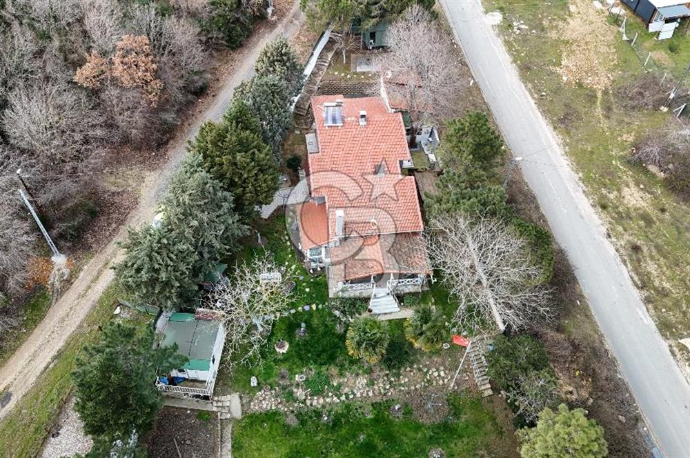 SATILIK DOĞAYLA İÇ İÇE SANATSAL TASARIMLI MÜSTAKİL VİLLA