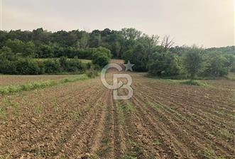 Edirne Uzunköprü Kırkkavak Köyü'nde 5.650 M2 Satılık Tarla - 7 - 325611