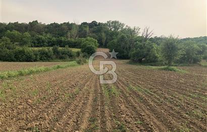 Edirne Uzunköprü Kırkkavak Köyü'nde 5.650 M2 Satılık Tarla