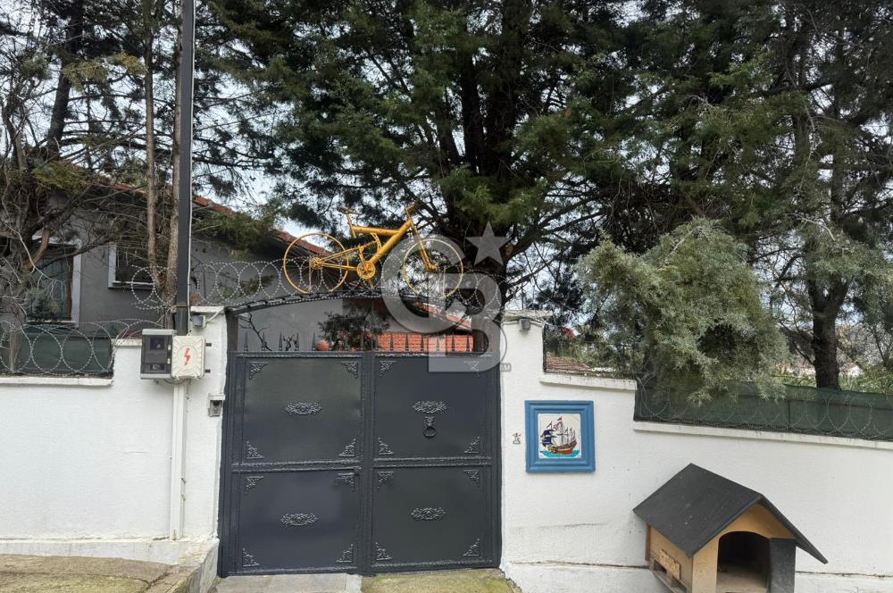 SATILIK DOĞAYLA İÇ İÇE SANATSAL TASARIMLI MÜSTAKİL VİLLA