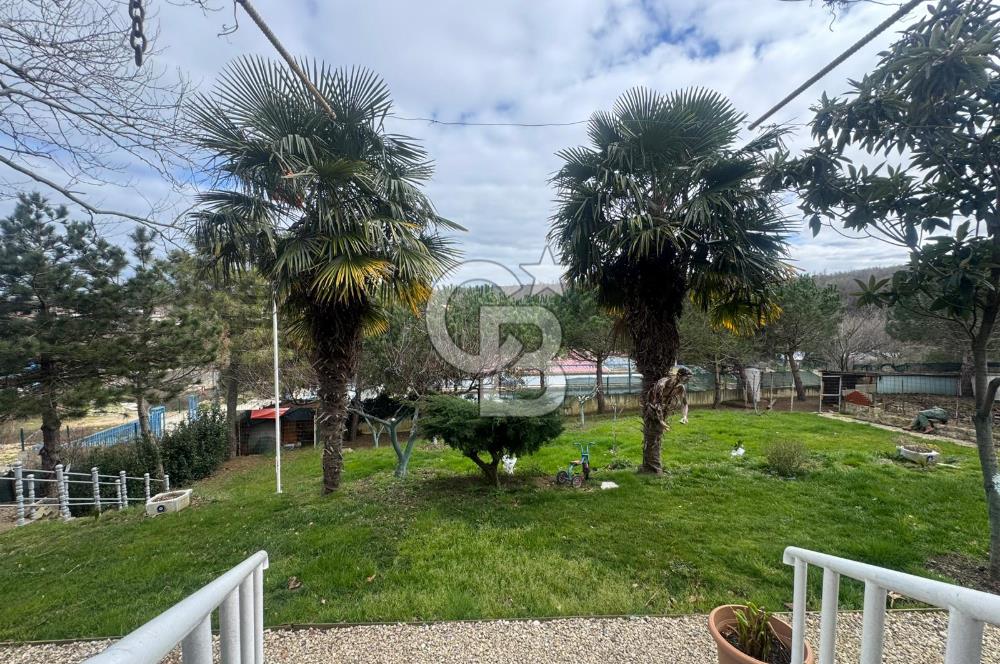 SATILIK DOĞAYLA İÇ İÇE SANATSAL TASARIMLI MÜSTAKİL VİLLA