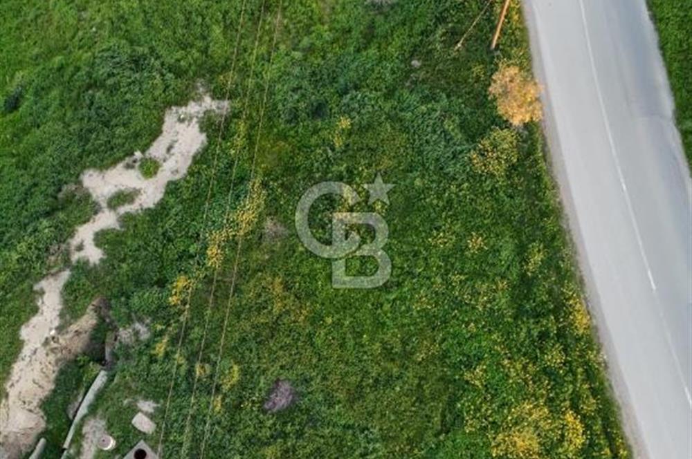 Kanlıköy Bölgesinde Yol Üzeri Satılık Türk Koçanlı Arazi !!!