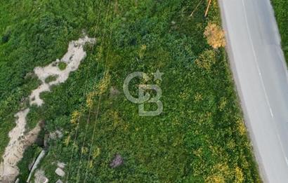 Kanlıköy Bölgesinde Yol Üzeri Satılık Türk Koçanlı Arazi !!!