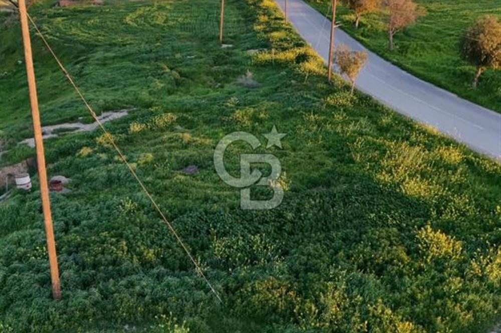 Kanlıköy Bölgesinde Yol Üzeri Satılık Türk Koçanlı Arazi !!!