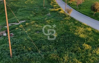 Kanlıköy Bölgesinde Yol Üzeri Satılık Türk Koçanlı Arazi !!!
