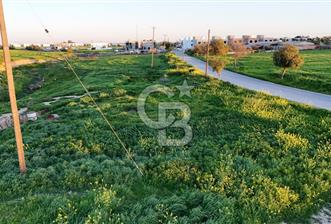 Kanlıköy Bölgesinde Yol Üzeri Satılık Türk Koçanlı Arazi !!! - 1 - 338312