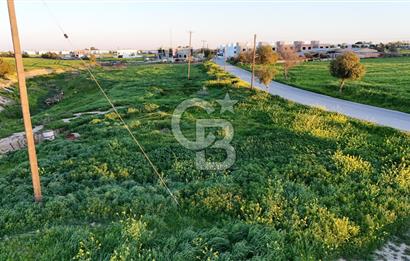 Kanlıköy Bölgesinde Yol Üzeri Satılık Türk Koçanlı Arazi !!!