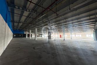 ARNAVUTKÖY YEŞİLBAYIR DA 5000m2 KİRALIK FABRİKA - 10 - 338510