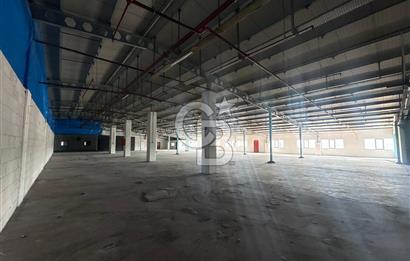 ARNAVUTKÖY YEŞİLBAYIR DA 5000m2 KİRALIK FABRİKA