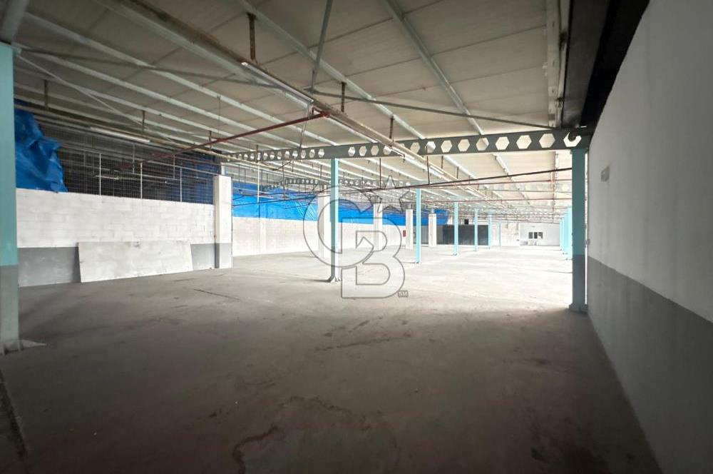 ARNAVUTKÖY YEŞİLBAYIR DA 5000m2 KİRALIK FABRİKA