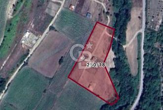 ÇATALCA KABAKÇA'DA SATILIK HİSSELİ TARLA - 437,3 M2 PAY - 3 - 338366