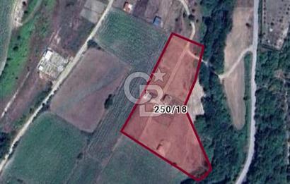 ÇATALCA KABAKÇA'DA SATILIK HİSSELİ TARLA - 437,3 M2 PAY