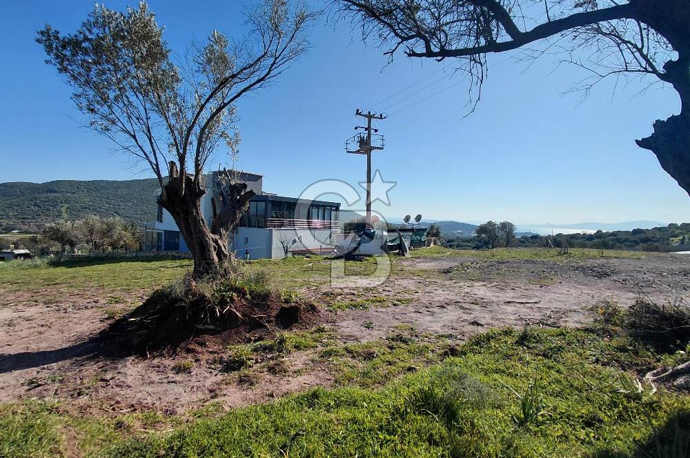 Foça’da Deniz Manzaralı Parseller | Merkeze 5 DK | Yolu Var