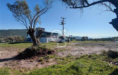 Foça’da Deniz Manzaralı Parseller | Merkeze 5 DK | Yolu Var