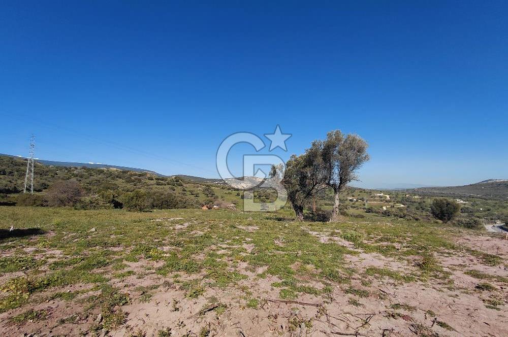 Foça’da Deniz Manzaralı Parseller | Merkeze 5 DK | Yolu Var