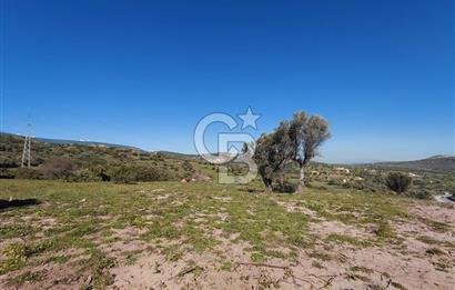 Foça’da Deniz Manzaralı Parseller | Merkeze 5 DK | Yolu Var