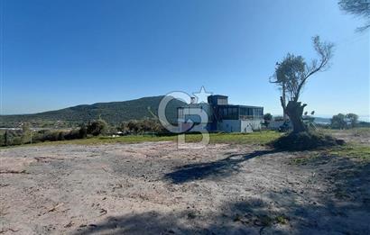 Foça’da Deniz Manzaralı Parseller | Merkeze 5 DK | Yolu Var