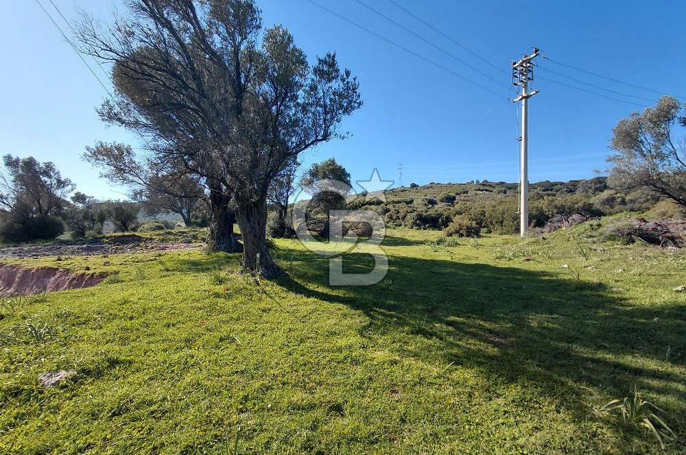 Foça’da Deniz Manzaralı Parseller | Merkeze 5 DK | Yolu Var