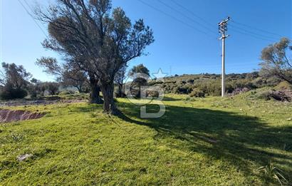 Foça’da Deniz Manzaralı Parseller | Merkeze 5 DK | Yolu Var