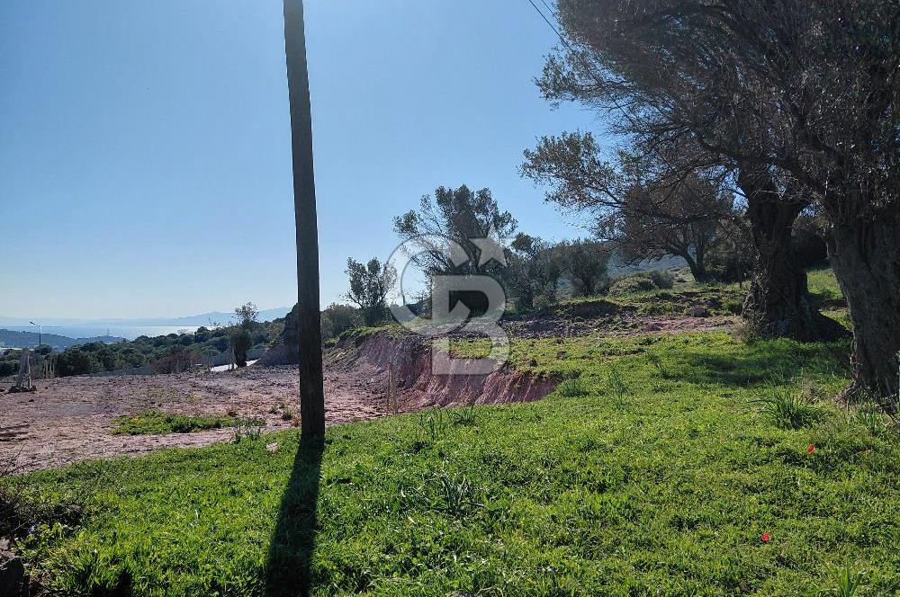 Foça’da Deniz Manzaralı Parseller | Merkeze 5 DK | Yolu Var