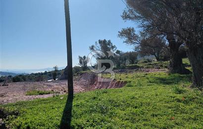 Foça’da Deniz Manzaralı Parseller | Merkeze 5 DK | Yolu Var