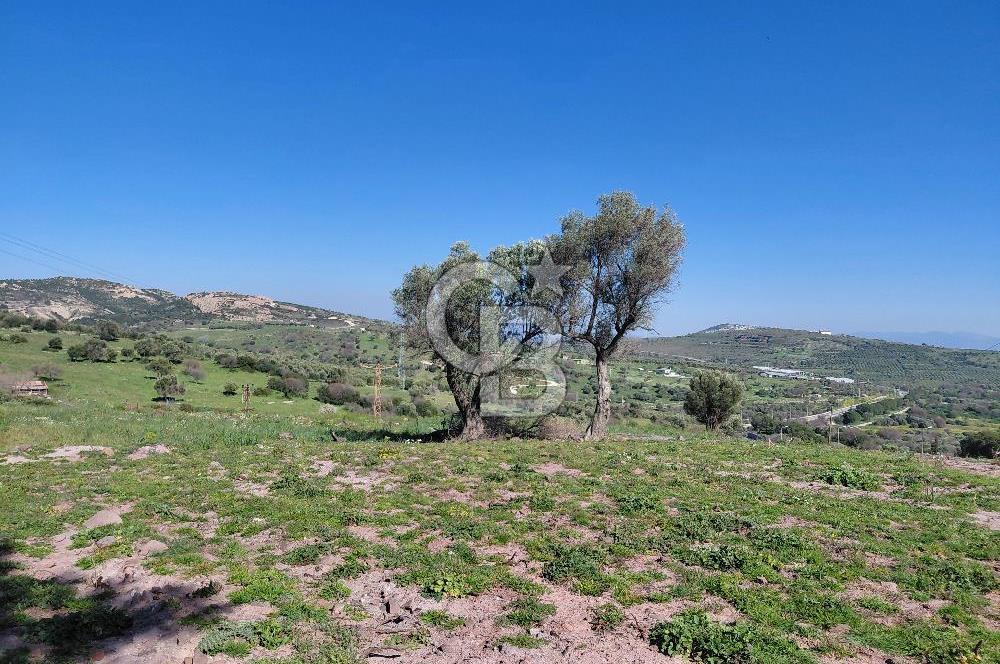 Foça’da Deniz Manzaralı Parseller | Merkeze 5 DK | Yolu Var