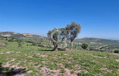 Foça’da Deniz Manzaralı Parseller | Merkeze 5 DK | Yolu Var