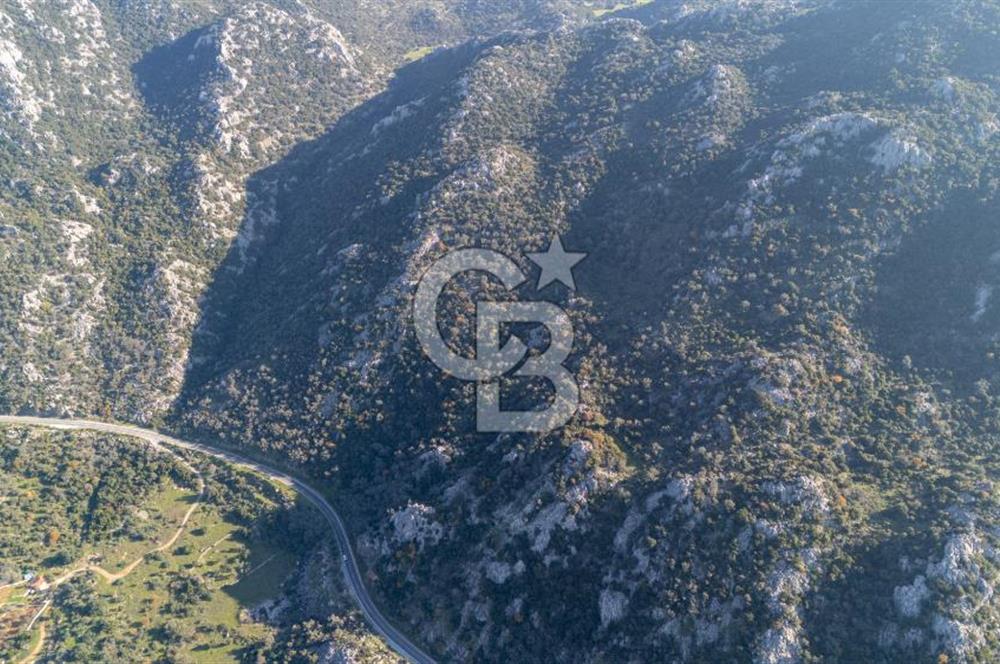 Marmaris Selimiyede Değerlenen Bölgede Yatırımlık Tarla