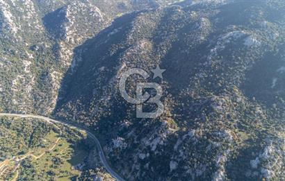 Marmaris Selimiyede Değerlenen Bölgede Yatırımlık Tarla