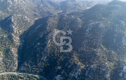 Marmaris Selimiyede Değerlenen Bölgede Yatırımlık Tarla