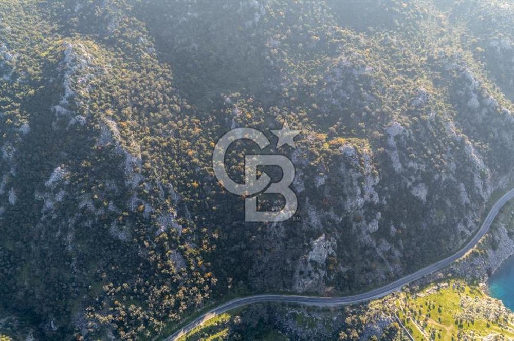 Marmaris Selimiyede Değerlenen Bölgede Yatırımlık Tarla