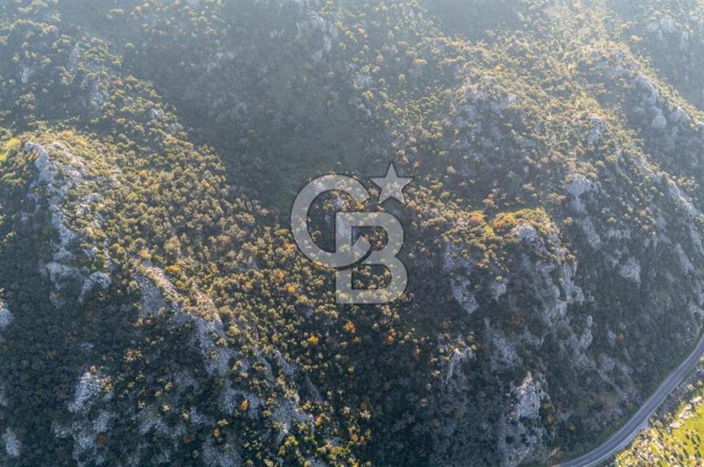 Marmaris Selimiyede Değerlenen Bölgede Yatırımlık Tarla