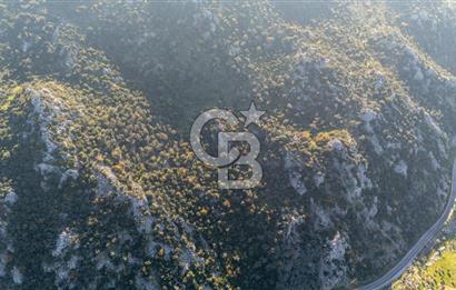 Marmaris Selimiyede Değerlenen Bölgede Yatırımlık Tarla