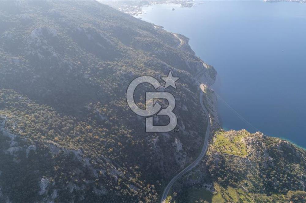 Marmaris Selimiyede Değerlenen Bölgede Yatırımlık Tarla