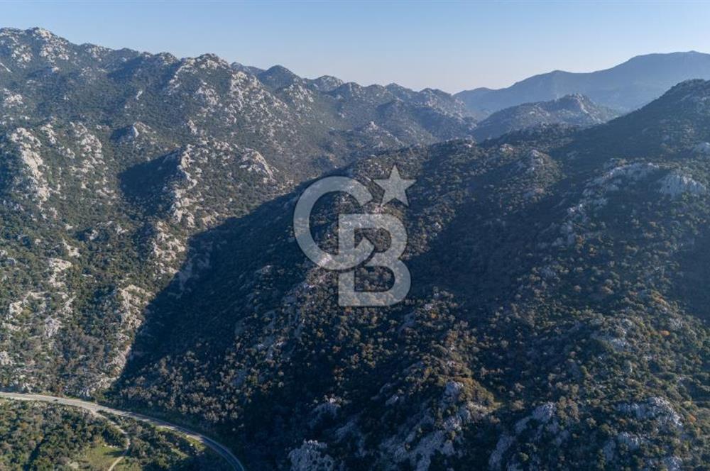 Marmaris Selimiyede Değerlenen Bölgede Yatırımlık Tarla