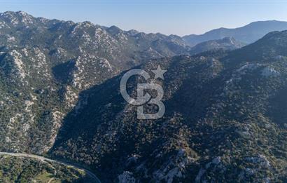 Marmaris Selimiyede Değerlenen Bölgede Yatırımlık Tarla