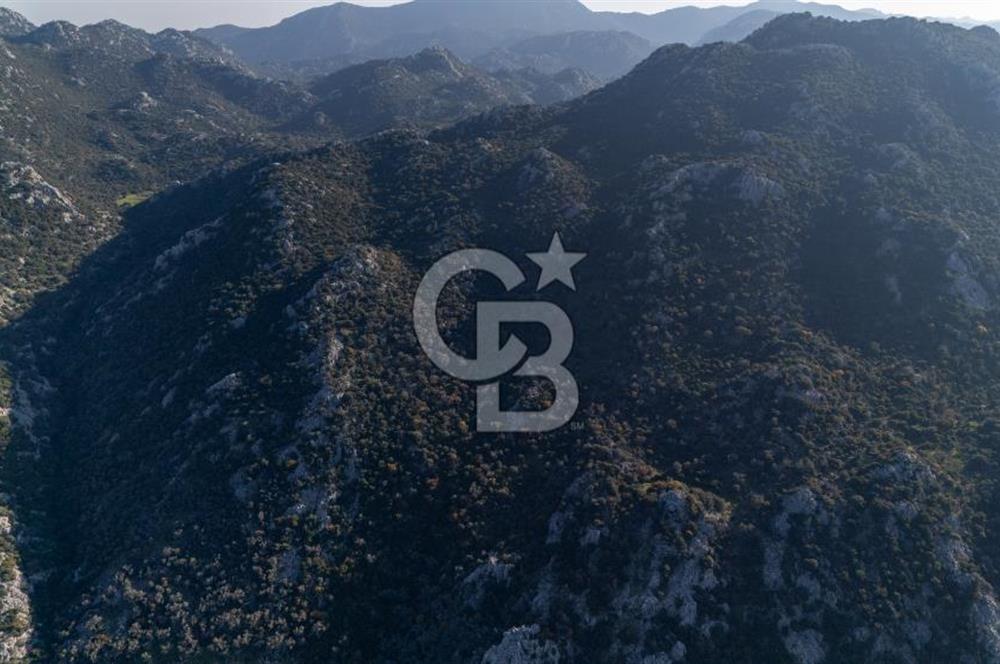 Marmaris Selimiyede Değerlenen Bölgede Yatırımlık Tarla