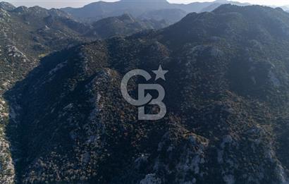 Marmaris Selimiyede Değerlenen Bölgede Yatırımlık Tarla