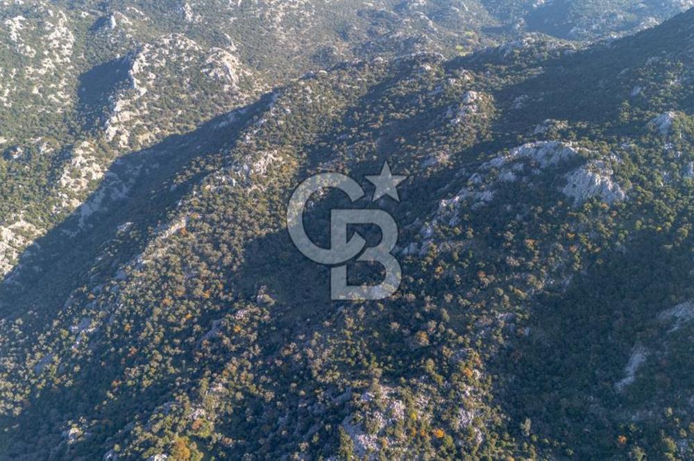 Marmaris Selimiyede Değerlenen Bölgede Yatırımlık Tarla