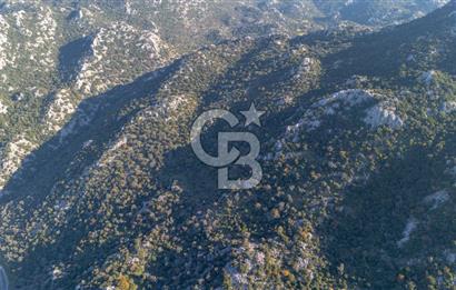 Marmaris Selimiyede Değerlenen Bölgede Yatırımlık Tarla