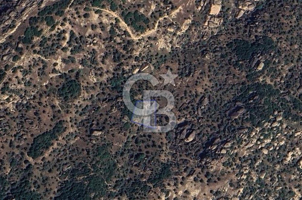 Yatağan'da 1.253 m² Yatırımlık Tarla - Kaçırılmayacak Fırsat!