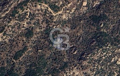 Yatağan'da 1.253 m² Yatırımlık Tarla - Kaçırılmayacak Fırsat!