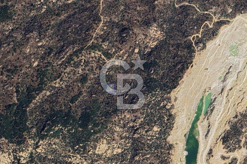 Yatağan'da 1.253 m² Yatırımlık Tarla - Kaçırılmayacak Fırsat!