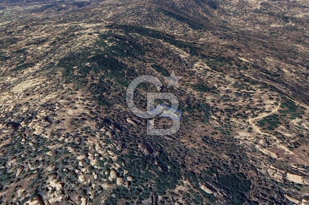 Yatağan'da 1.253 m² Yatırımlık Tarla - Kaçırılmayacak Fırsat!